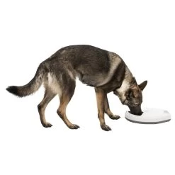 Trixie Futterautomat TX5 -Pet Haus Verkauf trixie tx5 futterautomat hund frisst