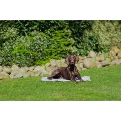 Trixie Kühlmatte Soft XL 90x60cm 10 Trixie Kühlmatte Soft XL 90x60cm -Pet Haus Verkauf trixie kuehlmatte soft 340WwSmroPXfEy