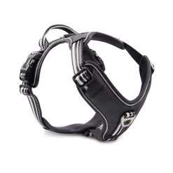 Wolters Geschirr Active Pro Schwarz