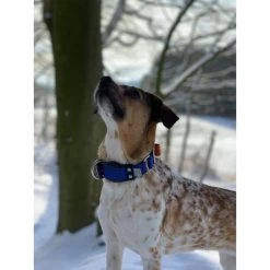 WowWow Professional Halsband Rot -Pet Haus Verkauf wowwow halsband alle 26091513687183