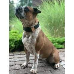 WowWow Professional Halsband Rot -Pet Haus Verkauf wowwow halsband alle 3609151378dd67