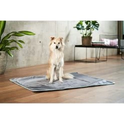 ZooRoyal Kuscheldecke Levi Anthrazit 120 X 100 Cm -Pet Haus Verkauf zooroyal decke levi anthrazit 120 x 100 cm 15e2056cb73d3f
