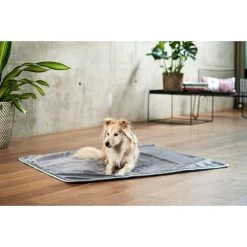 ZooRoyal Kuscheldecke Levi Anthrazit 120 X 100 Cm -Pet Haus Verkauf zooroyal decke levi anthrazit 120 x 100 cm 25e2056cc58938