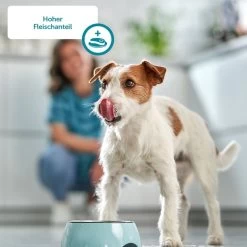 ZooRoyal Saftige Pastete Mono-Protein Rind -Pet Haus Verkauf zooroyal monoprotein saftige pastete 175g 5c0CkbfgvxYnHV