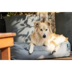 ZooRoyal Outdoorbett Noah -Pet Haus Verkauf zooroyal outdoorbett noah 12