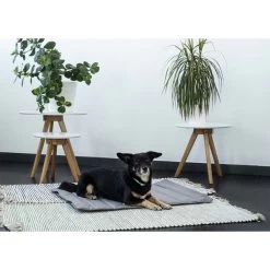 ZooRoyal Reisedecke Sam 75x60cm -Pet Haus Verkauf zooroyal reisedecke sam dunkelgrau 3